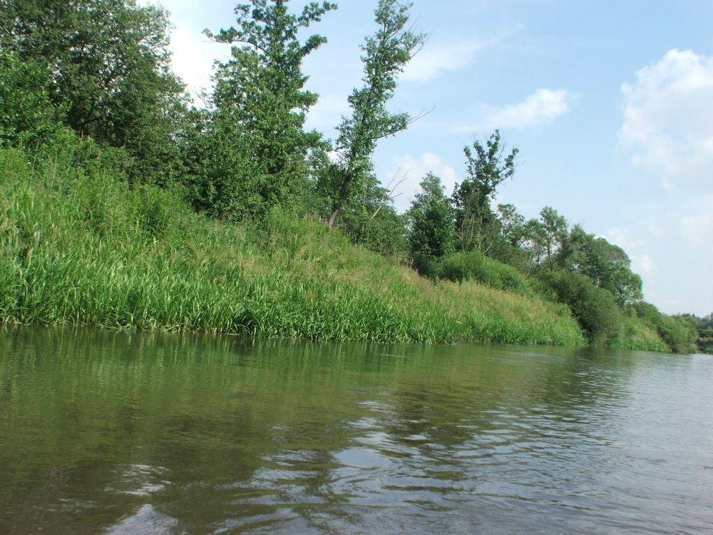 Rzeka Tanew