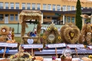 Foto_7