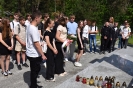 Foto _8